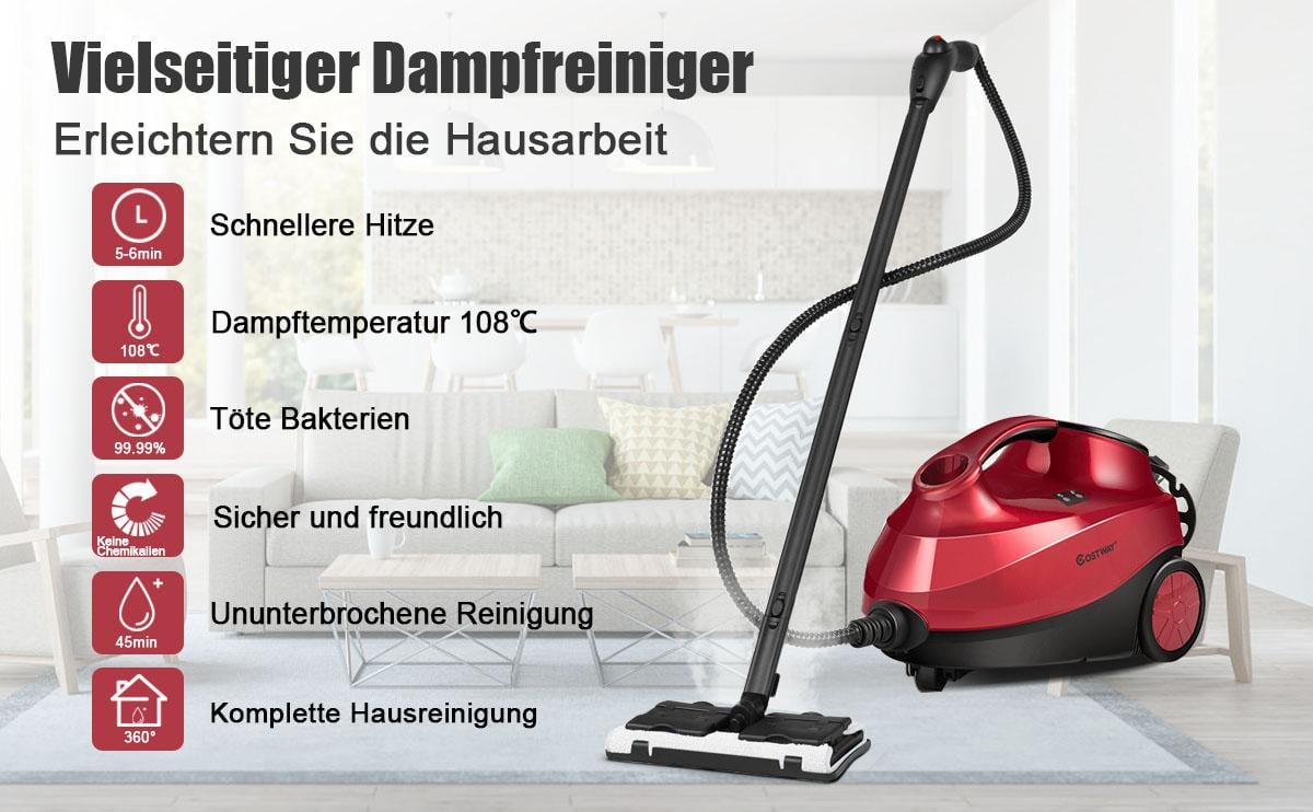 Dampfreiniger