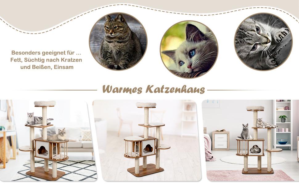 Katzen Aktivitäts- Zentrum