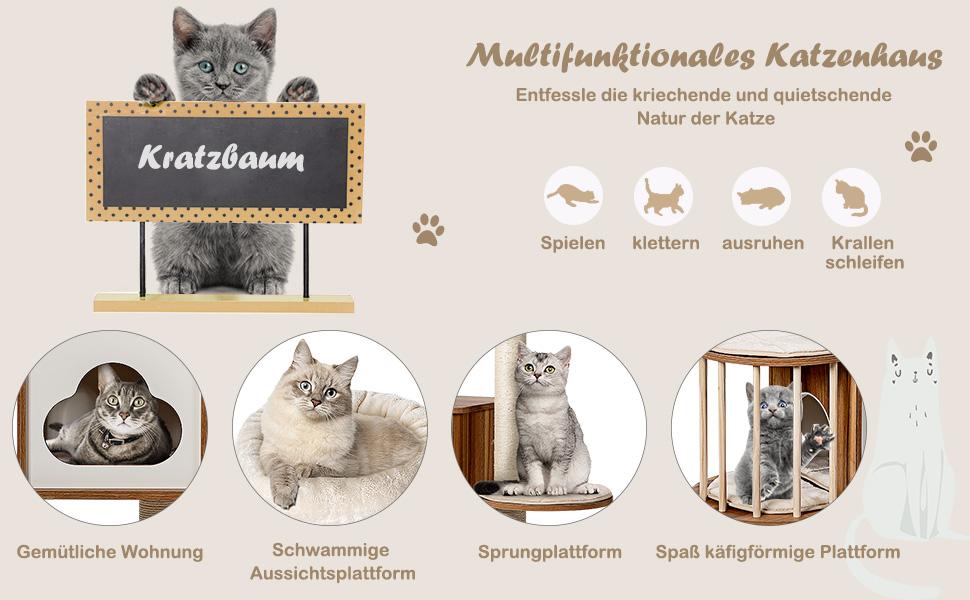 Katzen Aktivitätszentrum
