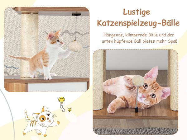 Großer Katzenbaum