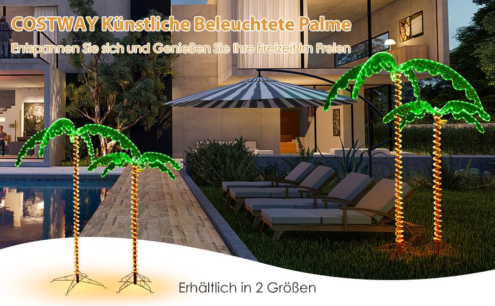 mini kaktus Surprise Cactus & Succulent Variety Pack