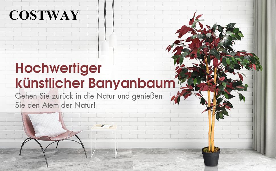 unechter ficus baum