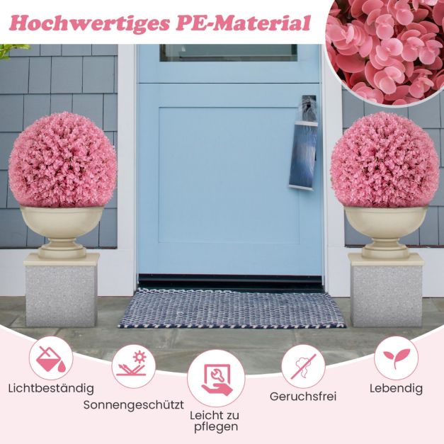 welche erde monstera Monstera Erde main image 1