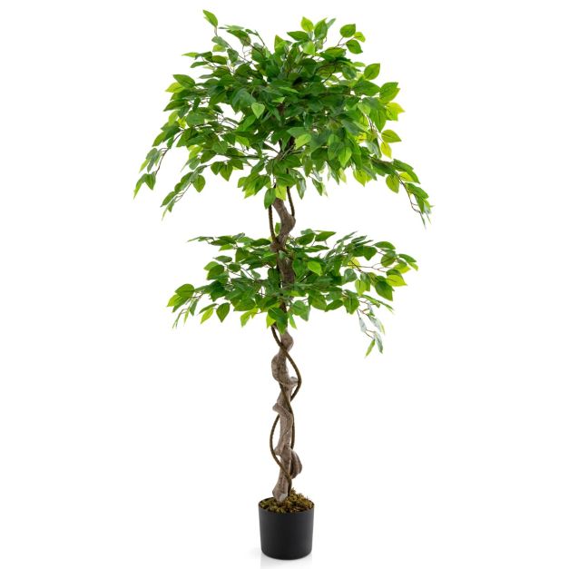 rankhilfe zimmerpflanze kaufen Stilvolle Rankhilfe fr Pflanzen "Mini Plant Stake" 4er Set Kletterhil   Qverfield UG