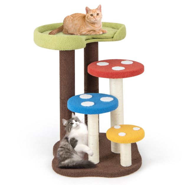 trockenfutter allergie katze Trockenfutter - Adult - Insekt und Hering
