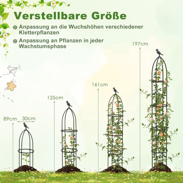 strelitzia alba vs nicolai Strelitzia nicolai, wild banana, giant White bird of paradise 24” Box
