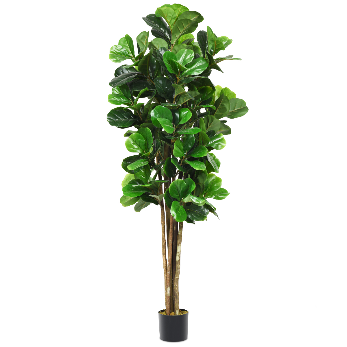 Grünpflanze Dekopflanze 180 cm Künstlicher Feigenbaum Natürlich